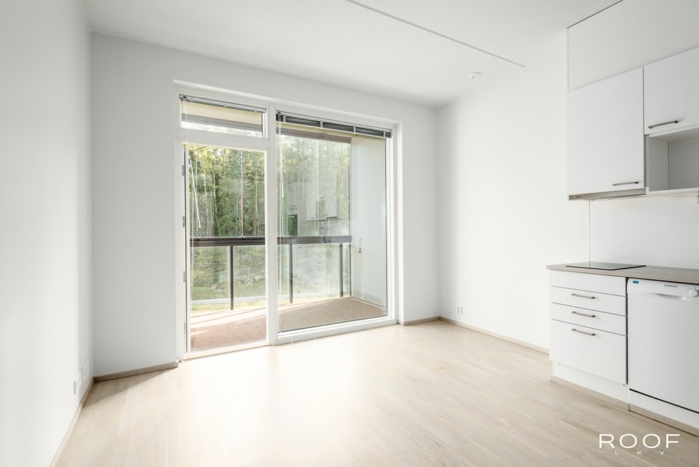 1h+kt Eestinlaakso 11 B 65 02280 Espoo – Roof LKV