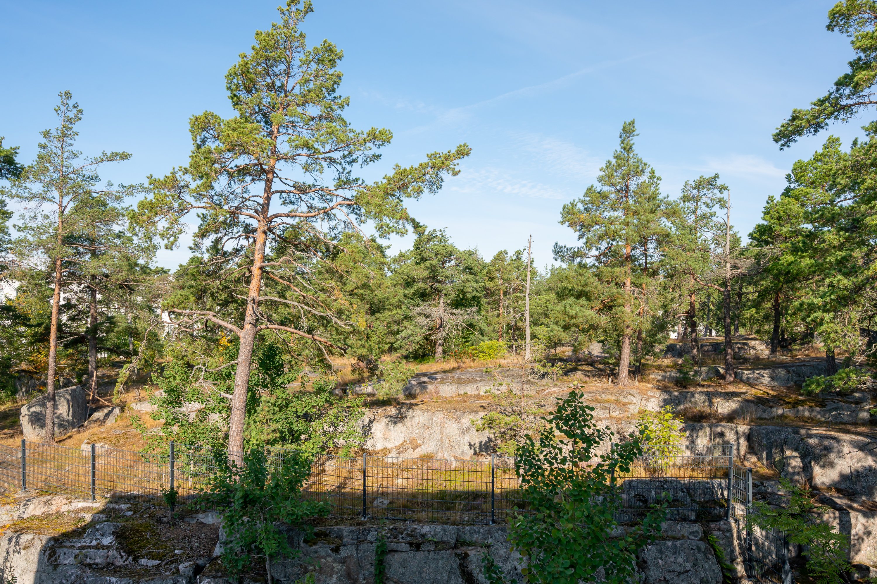 Target image