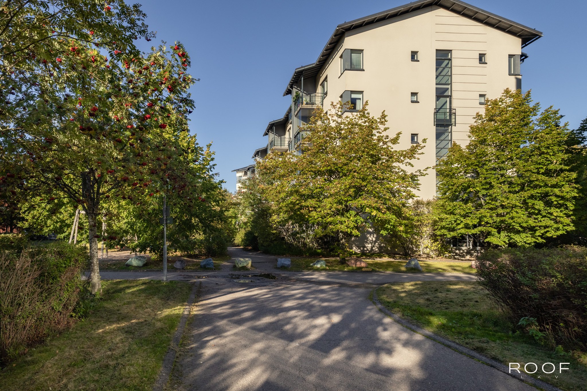 Target image